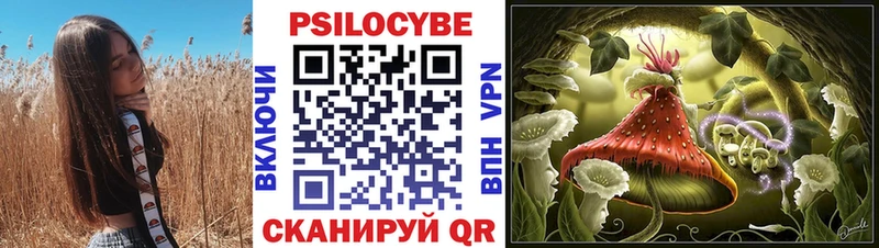 Купить  Осташков  Псилоцибиновые грибы ЛСД 